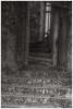 ARC_20120428_5375_3