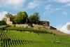 ARC_20120927_0281_1