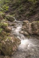 LAN_20120607_7251_1