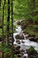 LAN_20120607_7282