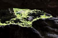 LAN_20120918_9287_1
