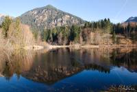 LAN_20121119_0294_1