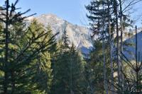LAN_20121119_0312