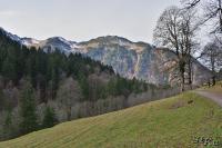 LAN_20121119_0423