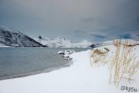 LAN_20130125_1078_1
