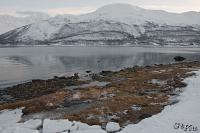 LAN_20130125_1222_1