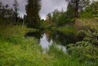 LAN_20130601_2828_1