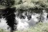 LAN_20130601_2831_1