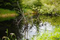 LAN_20130601_2834_1