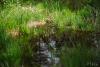 LAN_20130601_2837_1
