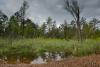 LAN_20130601_2846_1