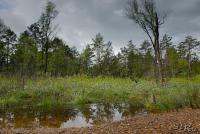 LAN_20130601_2846_1