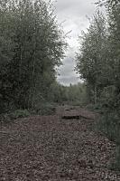 LAN_20130601_2853_2