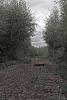 LAN_20130601_2853_2