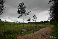 LAN_20130601_2860_1