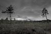 LAN_20130601_2862_1
