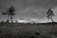 LAN_20130601_2862_1