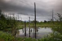 LAN_20130601_2870_1