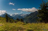 LAN_20130727_0635_1
