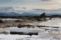 LAN_20140205_8586_1