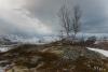 LAN_20140205_8731_1