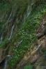 LAN_20140610_3271_2