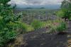 LAN_20140731_6833_2