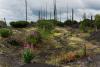 LAN_20140731_6846_1