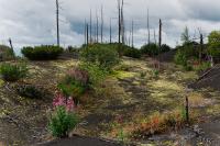 LAN_20140731_6846_1