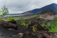 LAN_20140731_6864_1