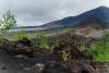 LAN_20140731_6864_1