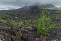 LAN_20140731_6876_1
