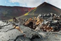 LAN_20140731_6942_1