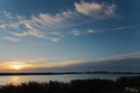 LAN_20141005_8955_1