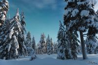 LAN_20150110_9100_1