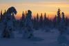 LAN_20150110_9136_1