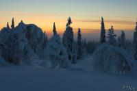 LAN_20150110_9142_1