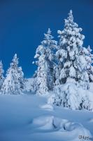 LAN_20150110_9155_1