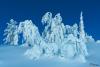 LAN_20150110_9161_1