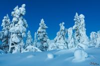 LAN_20150110_9163_1