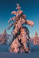LAN_20150110_9243_1