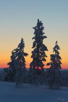 LAN_20150110_9251_1