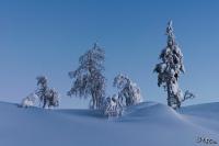 LAN_20150110_9256_2