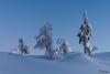 LAN_20150110_9256_2