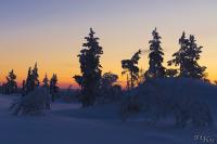 LAN_20150110_9258_1