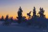 LAN_20150110_9258_1