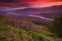 LAN_20150707_0734_1