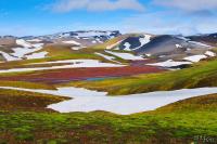 LAN_20150707_0992_1