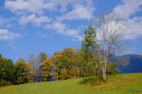 LAN_20151003_1568