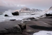 LAN_20160118_2481